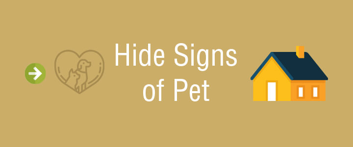 Hide Signs of Pet How To Speed a House Sale